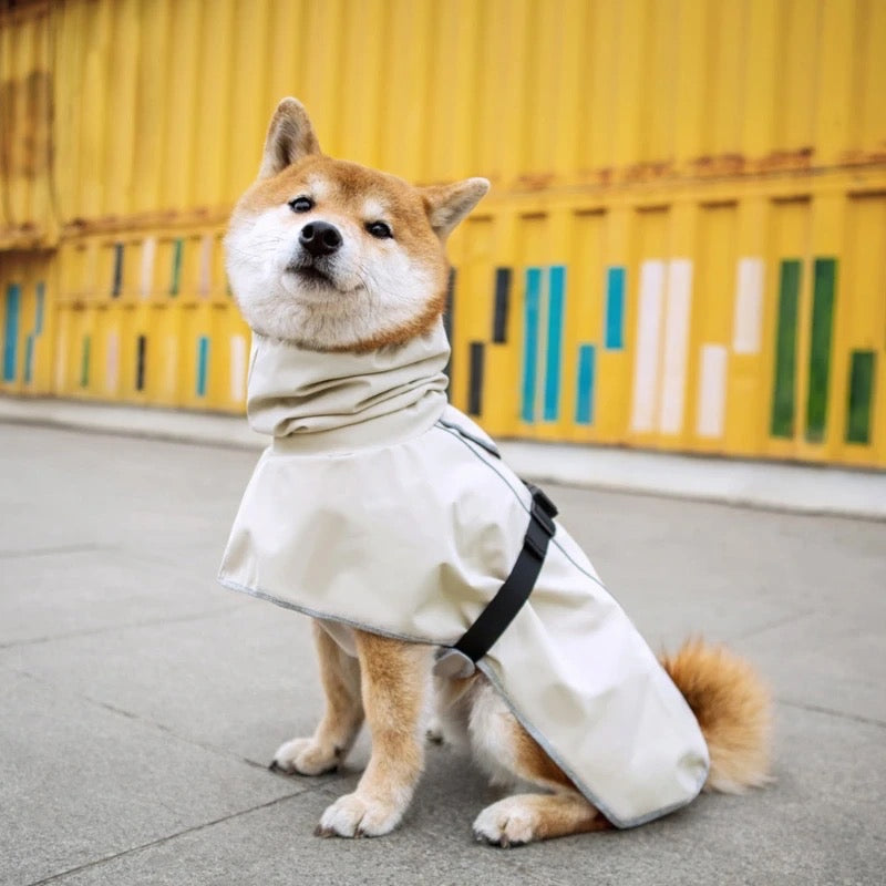 London Dog Coat