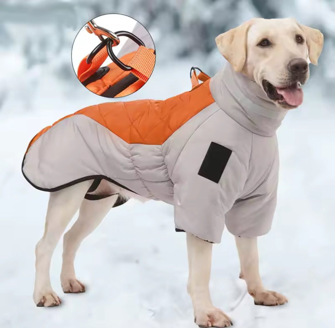 Winter Jacket for Large Dogs