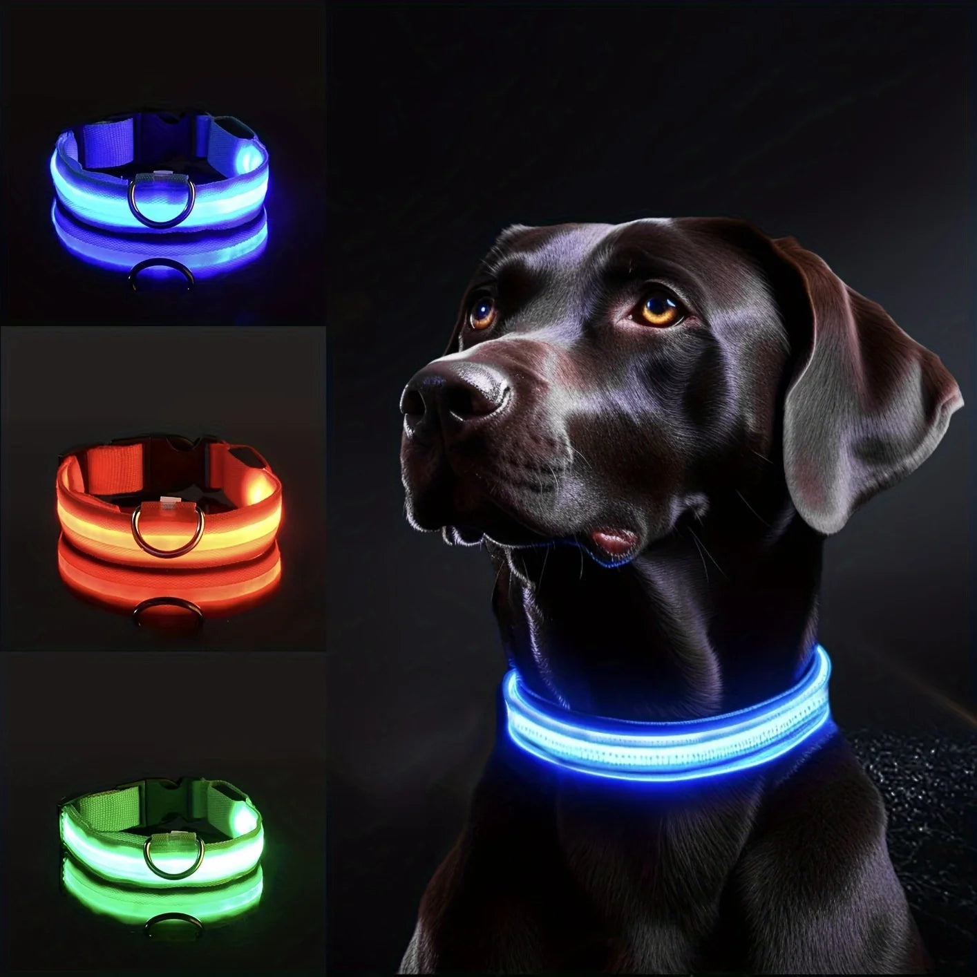 LED Dog Collar – Reflective Light-Up Collar for Night Safety | Durable Nylon Collar for Small & Medium Dogs