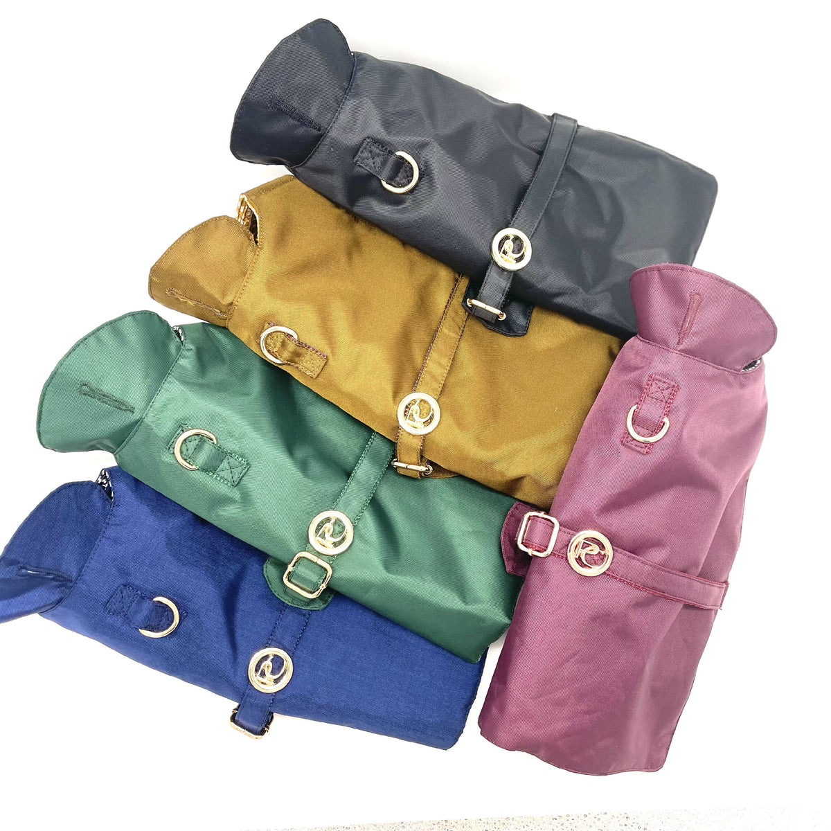 Black Dog Rain Jacket